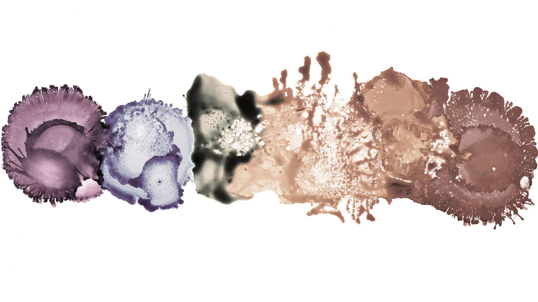 Unlocking Color Theory Finding Your Perfect Palette
