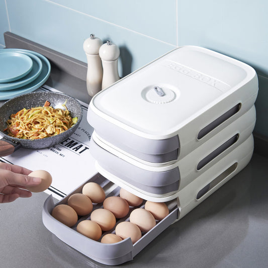 Refrigerator Egg & Dumpling Storage Box