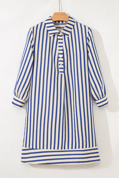 Blue Stripe Collared Half Button Side Pockets Loose Fit Mini Dress