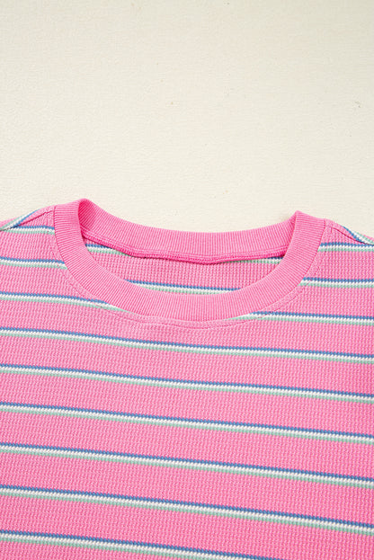 Rose Stripe Textured Knit Round Neck Long Sleeve Top