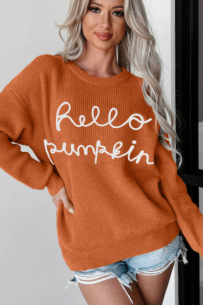 Pullover mit Flamingo- und Kürbis-Grafik