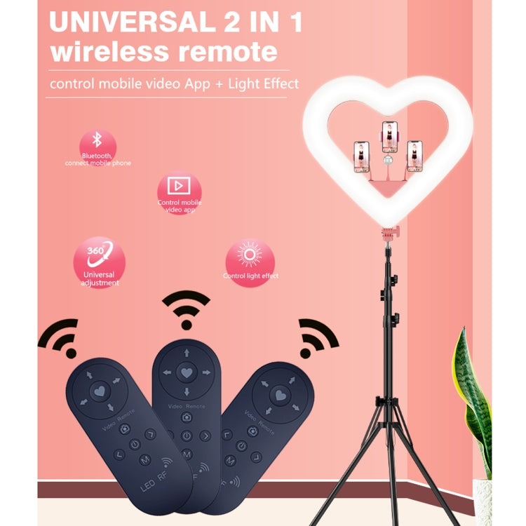 EDA0011636_20.jpg@af658621f9292993a9428ddaace7daae
