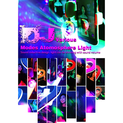 EDA0011636_9.jpg@f5bdf08d43d28a2c12d0b2a846499065