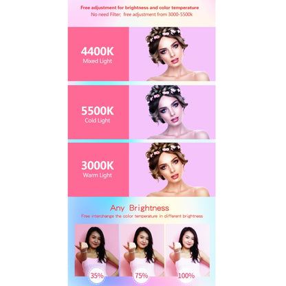 EDA0011638_9.jpg@cdf72e220330704d55ecf5dfdd861781