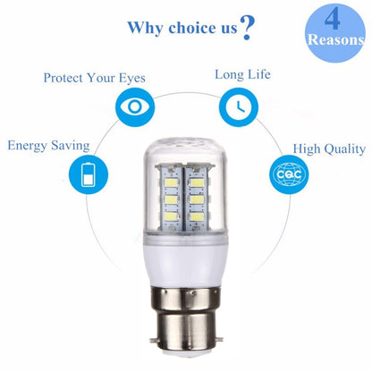 B22 2,5 W LED-Maislampe, 24 LEDs, SMD 5730, AC 12–24 V, AC 12–24 V
