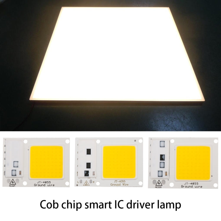Hochleistungs-220-V-LED-Flutlicht, kalt-/warmweiß, COB-LED-Chip, IP65, Smart-IC-Treiberlampe, 15 W Weiß, 20 W Weiß, 30 W Weiß, 50 W Weiß, 15 W Warmweiß, 20 W Warmweiß, 30 W Warmweiß, 50 W Warmweiß