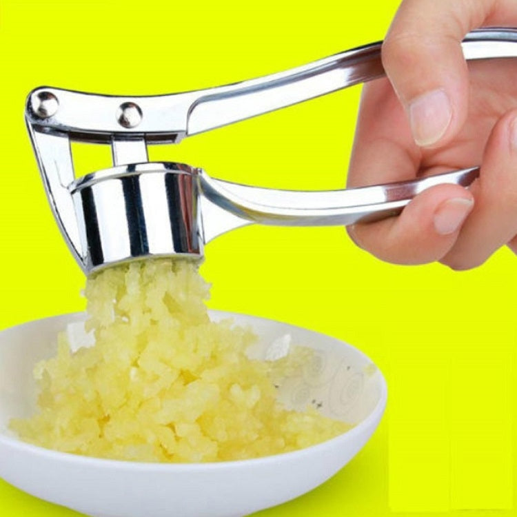 Handgehaltene Ingwer-Knoblauch-Zerkleinerer aus Edelstahl für die Küche, Knoblauchpüree-Maschine, Edelstahl 3