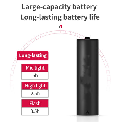 TBD0571890101_B6.jpg@13d9d1daabeaeaf9dba5e1ac1076cc1e