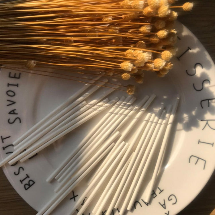 100pcs / Pack Household Homemade Lollipop Paper DIY Baking Cookie Sticks, 3.5 x 100mm