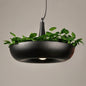 LED-Hängelampe für Pflanzen im Topf, für die Heimdekoration, DIY-Kronleuchter (warmweiß)