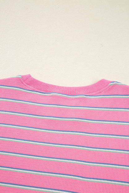 Rose Stripe Textured Knit Round Neck Long Sleeve Top