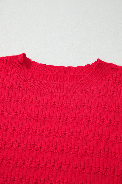 Fiery Red Trendy Pattern Knit Ribbed Cuffs Crew Neck Sweater
