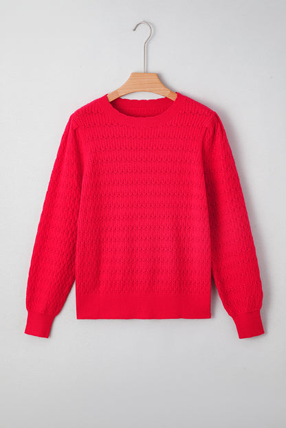 Fiery Red Trendy Pattern Knit Ribbed Cuffs Crew Neck Sweater